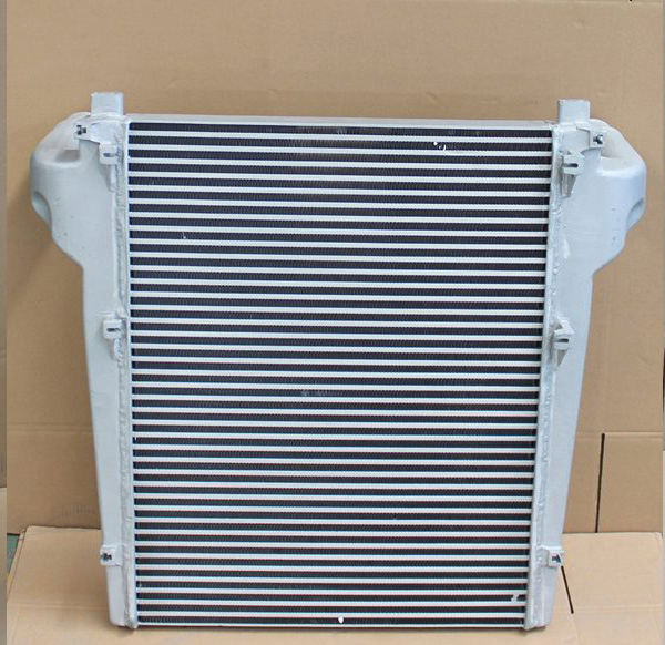 中冷器总成 1119010-TY100
